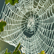 Foto: TSpider/Shutterstock.